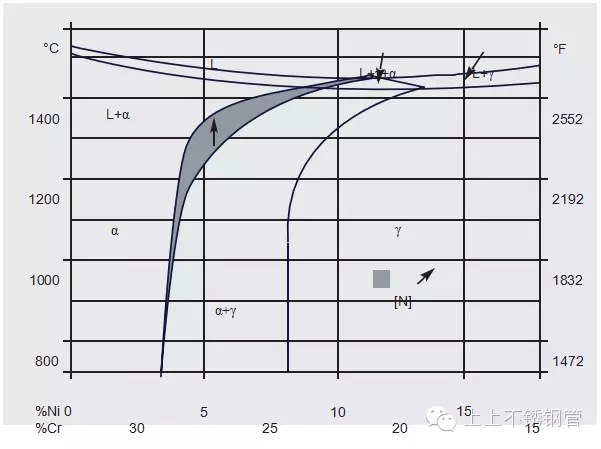 1.webp.jpg 1.webp.jpg
